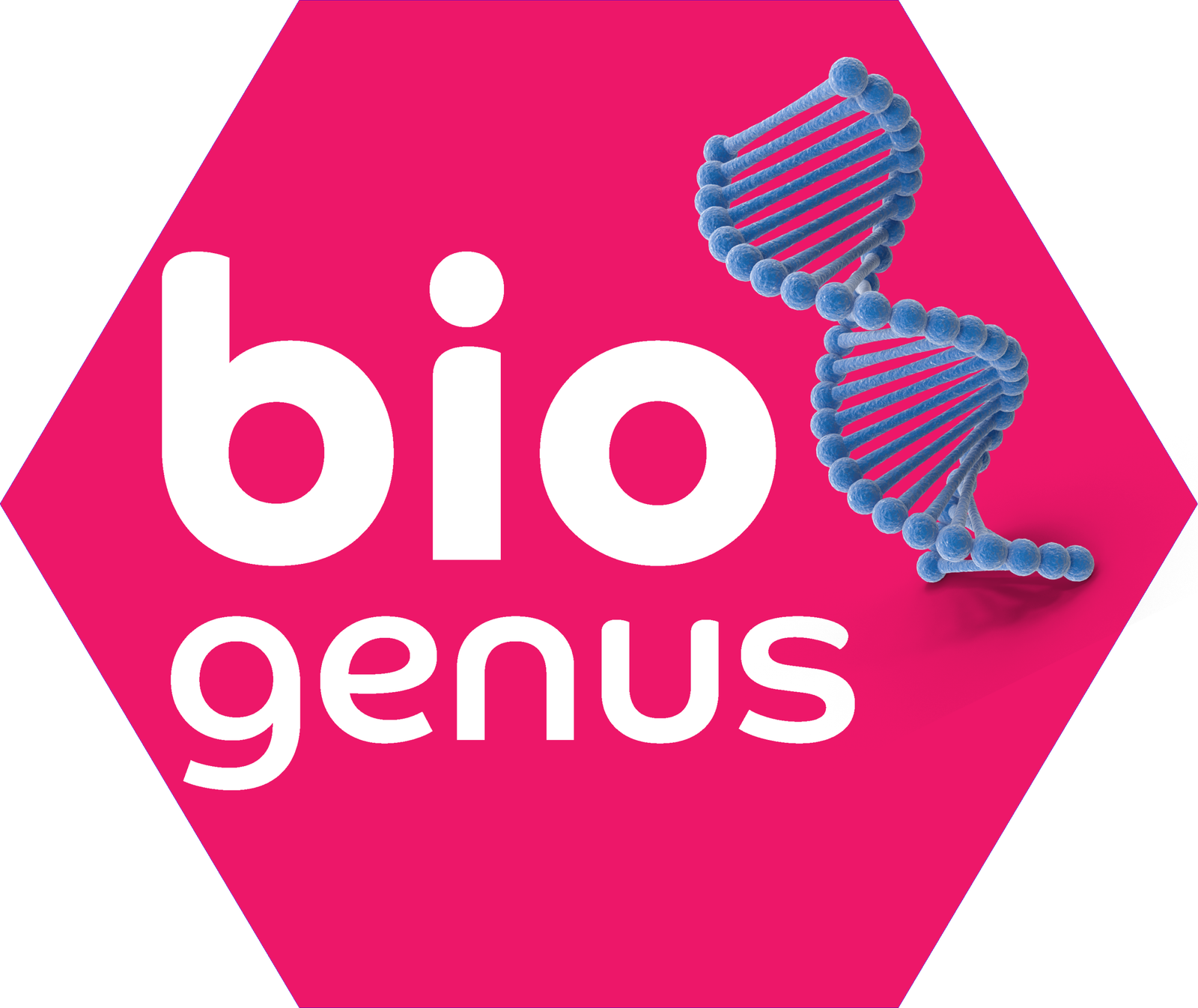 logo yeni